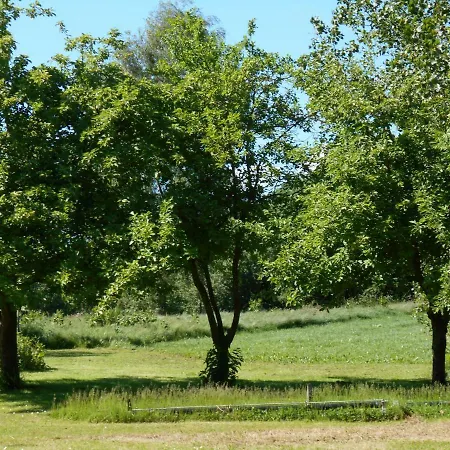 Idyll In *